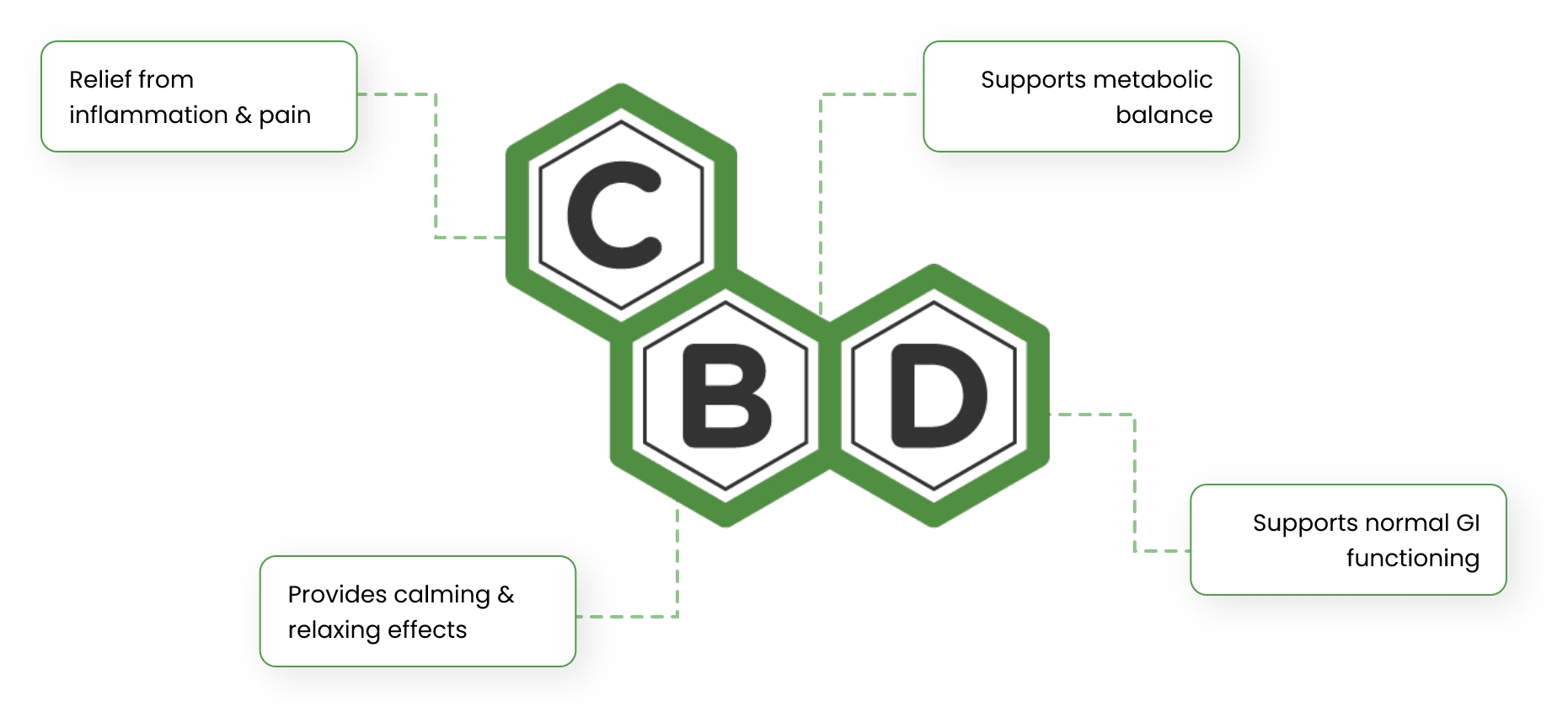 CBD-and-Human-Biology