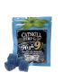 Catskill Hemp Co. High-9 Blue Razz Fruit Chews 4ct